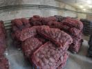 Картофель свежий урожай 2016 года в Перми фотография