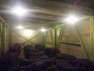 Продажа картофеля оптом в Перми (6 фотографий)